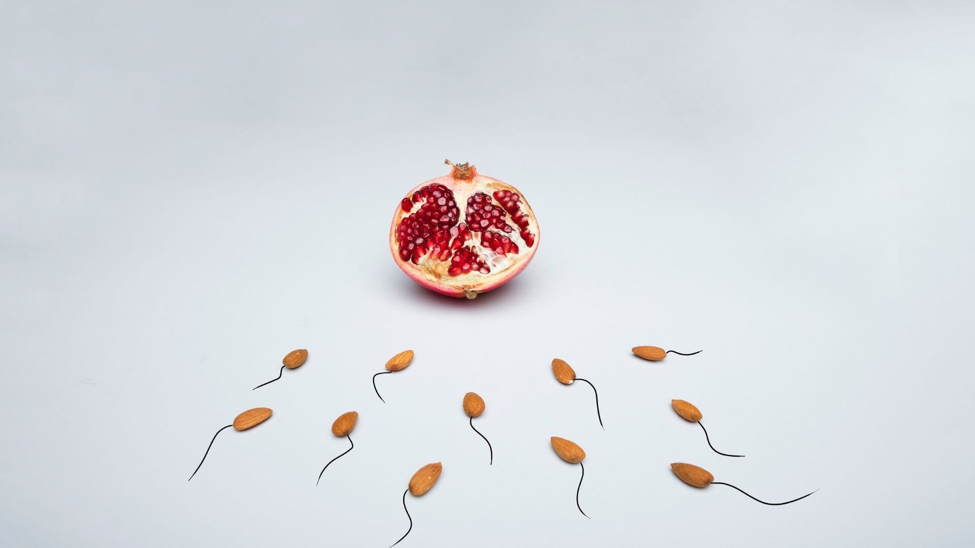 seminogram male fertility test