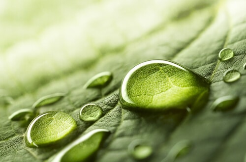 cbd oil period pain