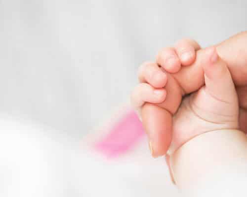 embryo adoption