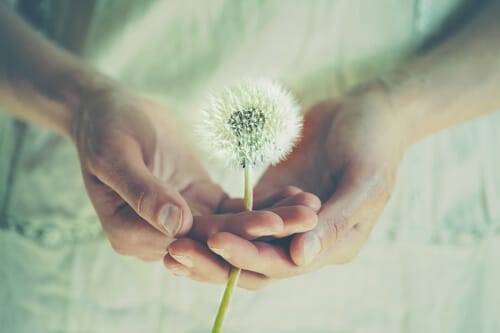 endometriosis fertility