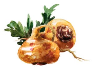 maca andina fertilidad