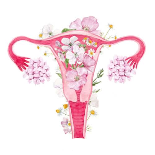 fertilidad femenina