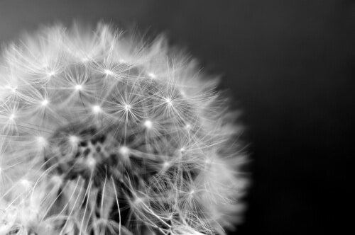 sindrome de ovarios poliquisticos embarazo fertilidad